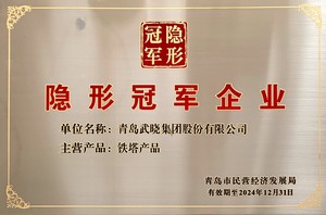 隱形冠軍企業